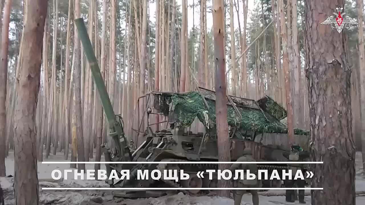 Расчеты Тюльпанов отработали по пунктам дислокации пехоты и пунктам управления БПЛА ВСУ на Купянском направлении