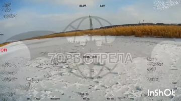 ��������� �����, ������� ������������ ����� ����� �� ��������� �����������, ����������� 7 ���