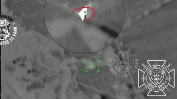 � ����������� ������� ��������� ������ ������������� �������� BV 206 "����"