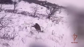 Расчёты БПЛА «стальной» бригады Росгвардии работают по вражеской живой силе