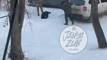 � ������� ����������� ������� �������� � ���������� ������� �� ������ ��������� ������� � ������, ���� ��������� ������� ���������