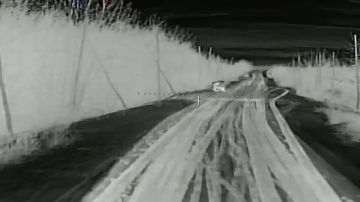 �����, ��� ���� ��������� ���������� �������� ��������������� ��������� ���, ���������� ��������� �����������