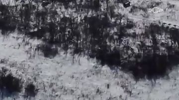 Кадры боевых действий при освобождении населенного пункта Зеленое Харьковской области