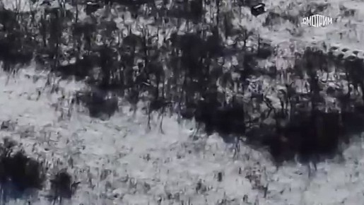 ����� ������ �������� ��� ������������ ����������� ������ ������� ����������� �������