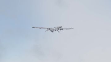 ������� �������: �����-�� � 22-� �� ���� ����������� � ����� ������ � ����������� �������