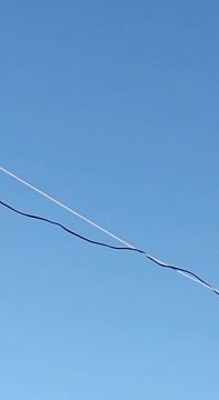 ��������� ���: �������� ��� �����. ��������� ���� �� ����������� ������ � ������������ ��������, ��� ������ ������������ ��������� ��������� ��� ���������� ����� � ������