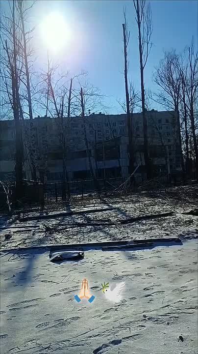 ����������. ������ �����, ��� ��� ��������� ���������� ��������� �������