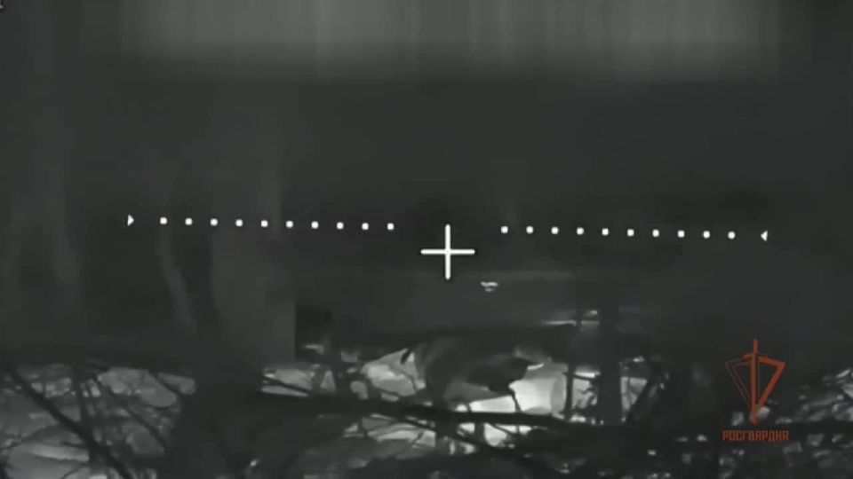 ������ ������ ������: ��������� ���� ���������� ���������� ��� ���������� �� ����������� �����������