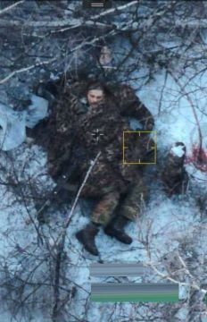 ������ �������� � ������ ��������