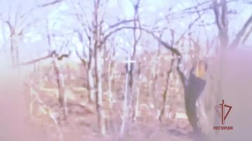 ������� ���������� ��������� ���������� ����� ���������� ���� �� ����������� �����������