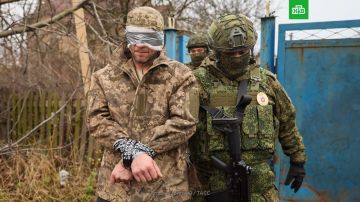 ������ ���� � ��������: ������� ������ ����������� ������� �����* ��������� � ������� �������������, �������� �� �������� �����������