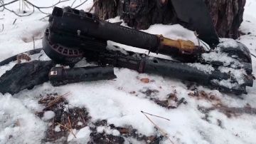 ����� �� �� ����� ������������� ��� � ����������� �������