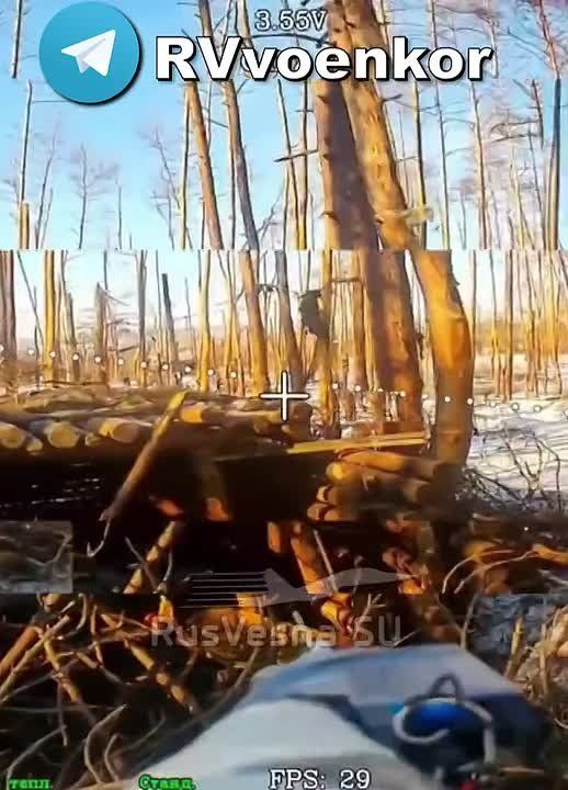 ��� � ��������: �������� ���������� ���������� �����