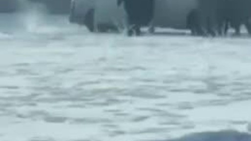 �������� "������" ���������� � ���