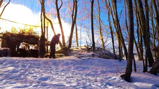 ������� �-46 ���������� ������� ������������ ��� � ����������� �������