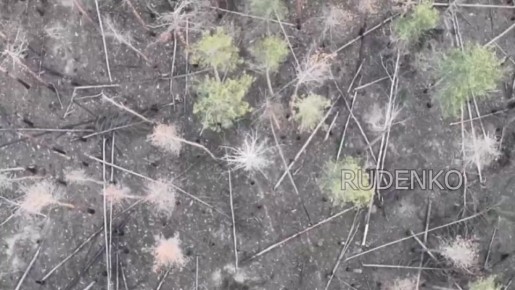 ������ �������: ��������� FPV-������ ����� ����������� ������ � ������� ��� ������ ���������� ���������������� ���� ��� � ����������� �������