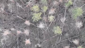 ������ �������: ��������� FPV-������ ����� ����������� ������ � ������� ��� ������ ���������� ���������������� ���� ��� � ����������� �������