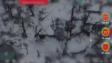 ��������� �������: ����� �������� ����, � ����� ���� - ������