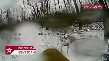 ������ ����� ��������: ���� ��������� �������� � ������� ��������, ������� ���������� � ���������� ������ �� ������� ����������� �������