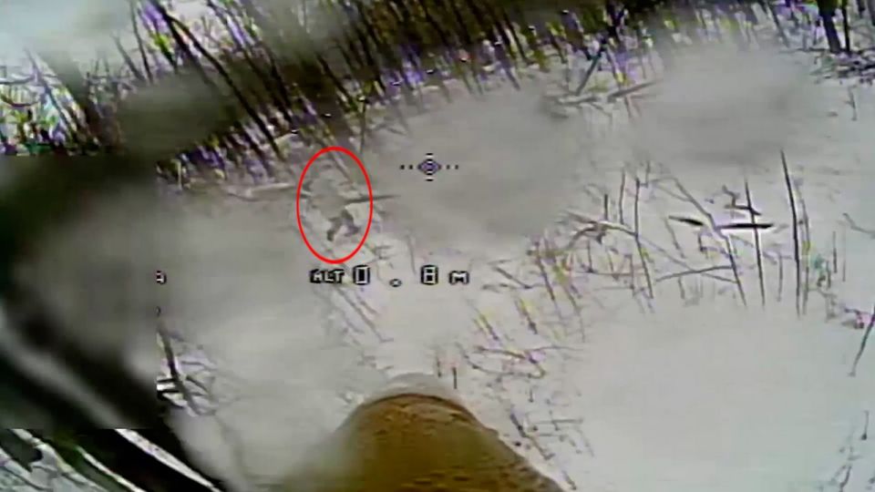 ���������� ���� ������ ����������� ������� �� ������������ ����