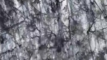 Андрей Руденко: Кадры объективного контроля уничтожения тяжёлых боевых квадрокоптеров R-18 и разведывательных БпЛА ВСУ операторами FPV-дронов войск беспилотных систем в составе группировки войск «Запад» в Харьковской области