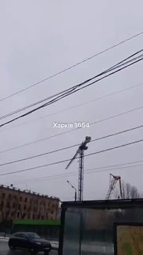 Харьков и беспрепятственно летящая по своим делам Геранька