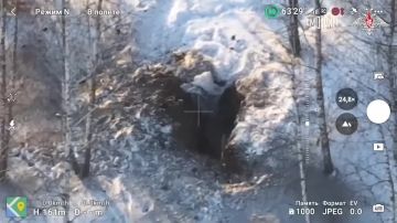 Минобороны РФ публикует кадры освобождения Харьковки в Сумской области