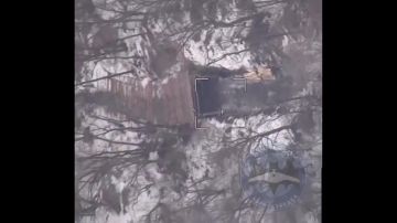 ������� ������: ���� ��� �� ������ ��������������� ��������