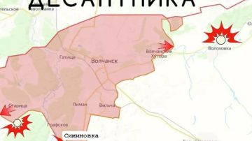 ����������� �����������: ������������ �����������, ���� ������������ ���