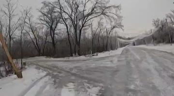 ��������� �����, �.�. �������. ����� �� ������� ����������� ��������, 20.02.2026