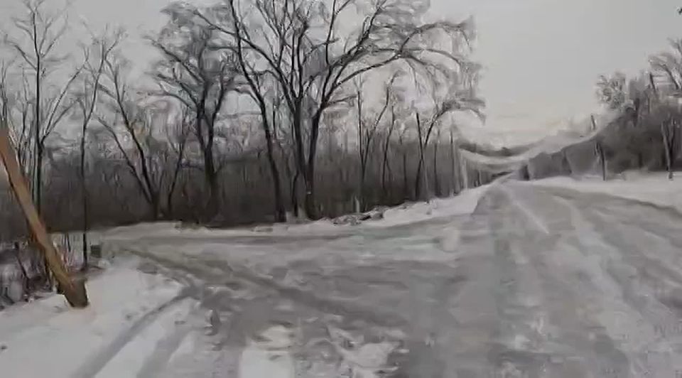 ��������� �����, �.�. �������. ����� �� ������� ����������� ��������, 20.02.2026