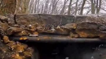 ������� ���������: ������������� ����������� ����� "�����" ���������� ���������� ������ ������������ � ������������ ������� ������� � ����������� ��������