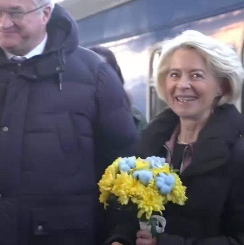 �������� ������� ����������� ������� ���� �������� �� �������