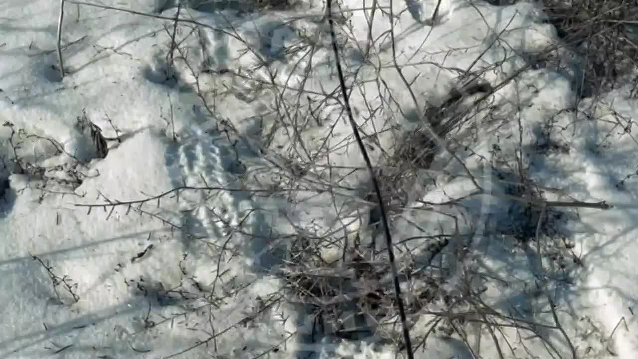 Хранители артиллерийского огня