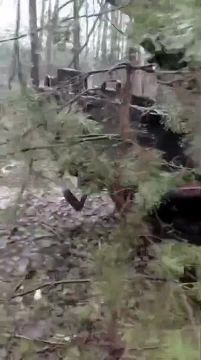 Уничтоженная в Харьковской области