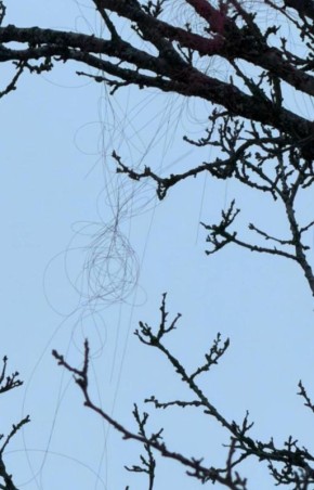 ��� ��������� ������: ������� ����� �� ����������� ������ �������� �� ��������