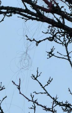 Юлия Витязева: FPV-дроны на оптоволокне начали долетать до Харькова, сообщил советник министра обороны хутора