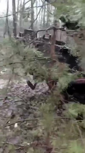 ������������ � ����������� �������