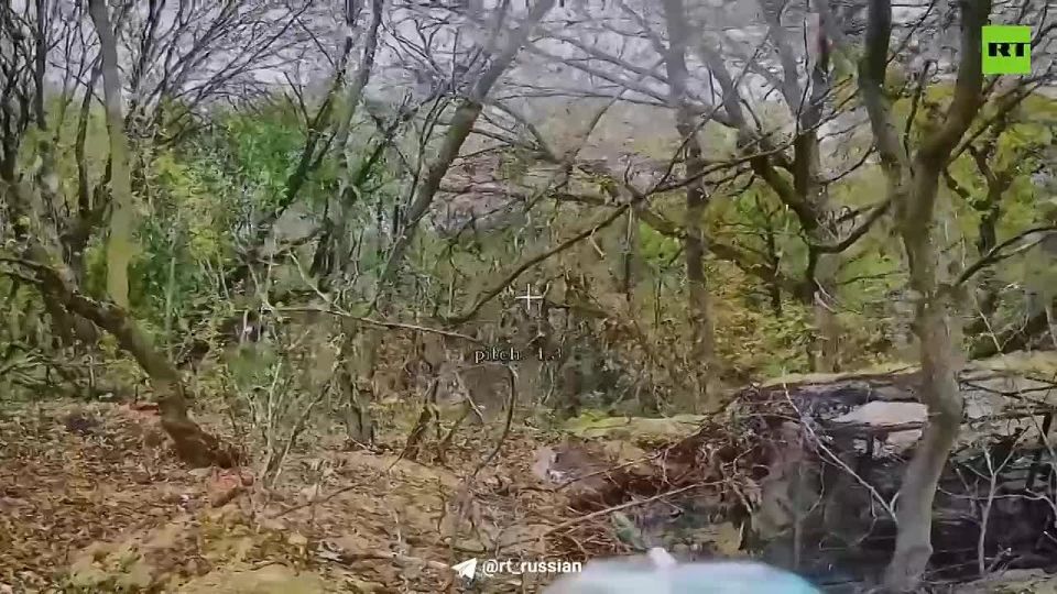 �������� ��������. ���� ������ �� ��������� ����������� � ������� ������ �������� ����������� ����� ������