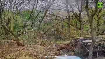 �������� ��������. ���� ������ �� ��������� ����������� � ������� ������ �������� ����������� ����� ������