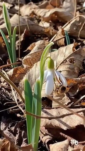 Вы разве не слышите как она стучится в ваши двери?
