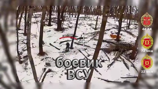 Секунды до контакта. Боевик ВСУ двигался по лесопосадке к своему укрытию, рассчитывая дойти без лишнего внимания