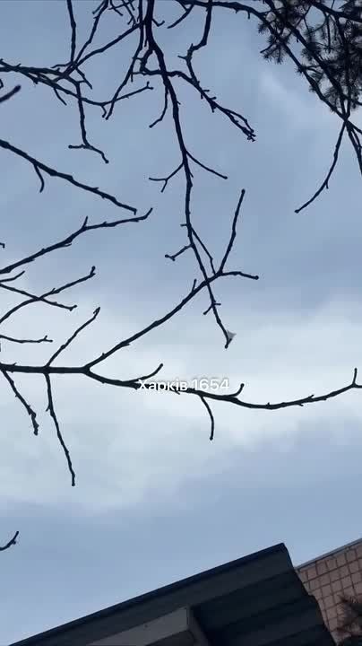 �� �������� �������� "������" �������� ��������� ����