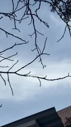 �������� "������" ��� ���������