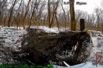 Военнослужащие 116-й бригады Росгвардии уничтожили миномёт ВСУ в Харьковской области (видео)