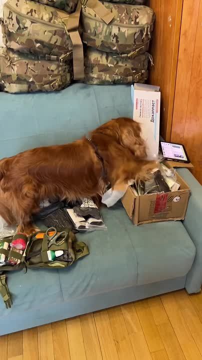 ���� ��������: ������� ��������� �������, ������� � ����� ����� ���������