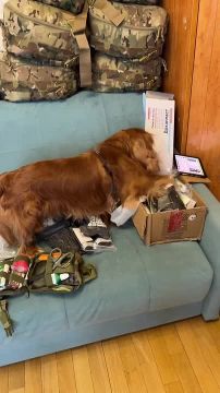 Юлия Витязева: Сегодня отгружаем рюкзаки, аптечки и сумки нашим танкистам