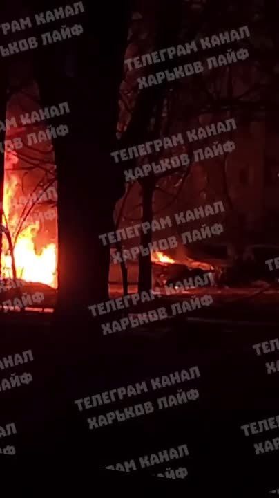 � ��� � ��������� �����������, ��� � ��� ���� �� ������ ������