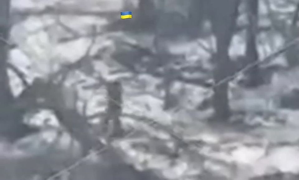 ������ �������: ����������� �����������. ����� ����� ������ �������������� ����������� ��������� ����� ����� ������� �� �� ��� ������������� �������� ����� ������� �������� ������ @batalyonshayhmansura