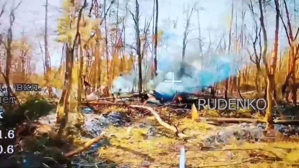 ������ �������: ����� ������������ �������� ����������� ���������� �������������� ��������� ��� �� ��������������� ������� ���������� FPV-������ ����� ����������� ������ ��� ������ � ����������� �������